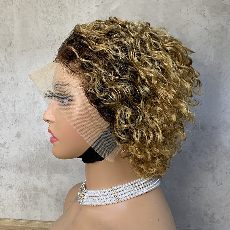 Short Curly Brazilian Cuticle Aligned Raw Virgin Hair Pixie Cut Lace Front Wigs