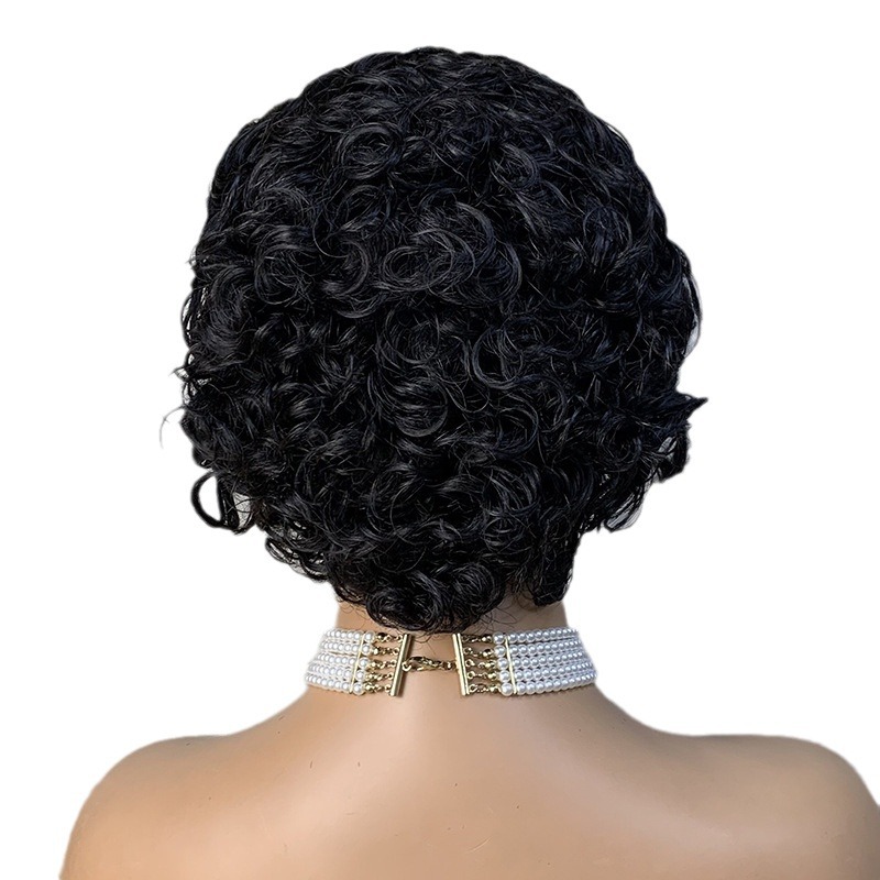 Short Curly Brazilian Cuticle Aligned Raw Virgin Hair Pixie Cut Lace Front Wigs